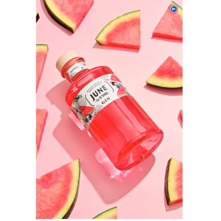 June by G'Vine watermelon Gin Maison Villevert